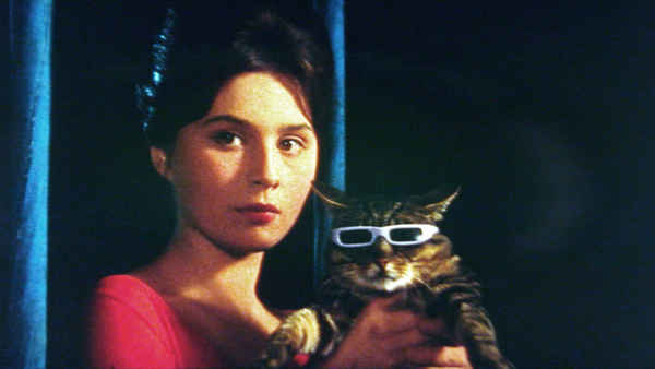 The Cassandra Cat Poster 2