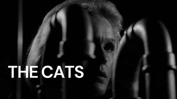 The Cats Poster 4