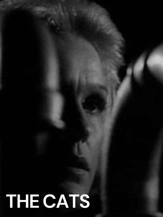 The Cats