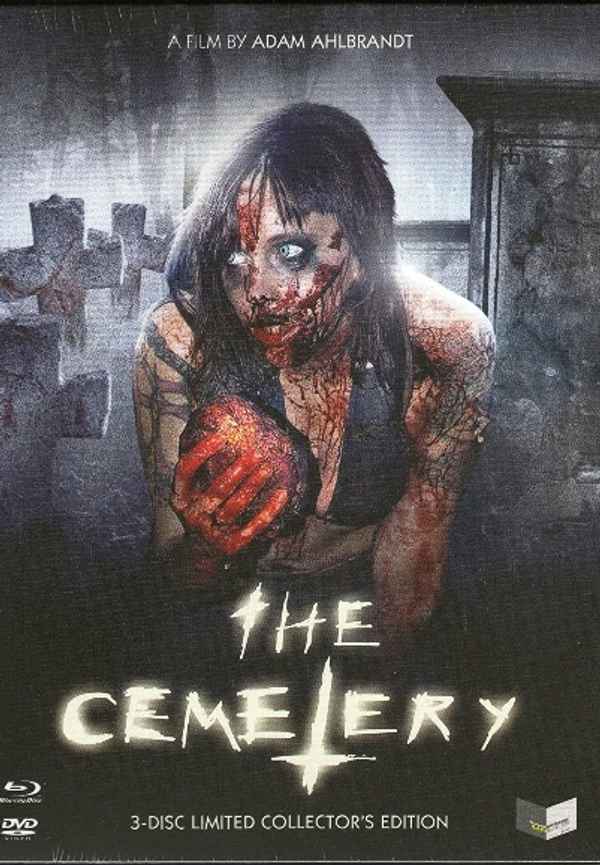 The Cemetery Poster 6