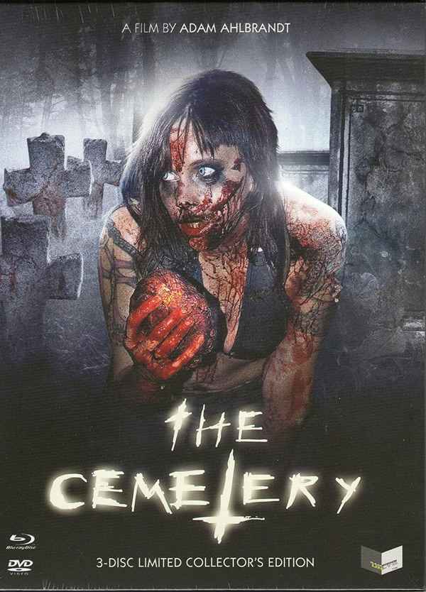 The Cemetery Poster 1