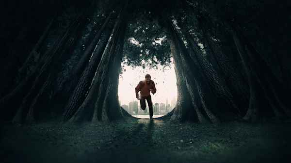 The Changeling Poster 6