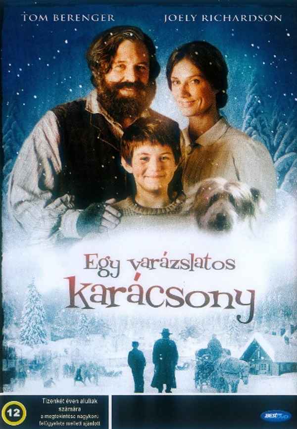 The Christmas Miracle of Jonathan Toomey Poster 7