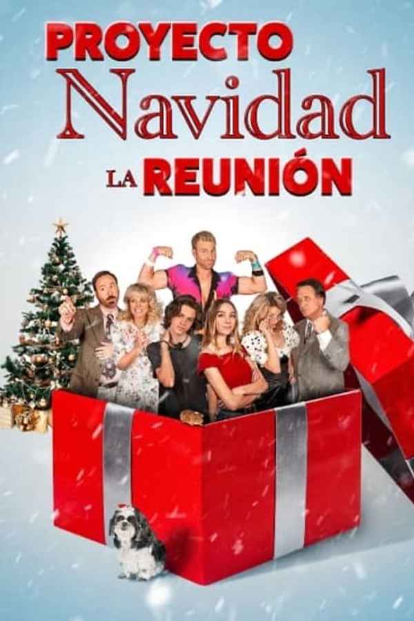 The Christmas Project Reunion Poster 6