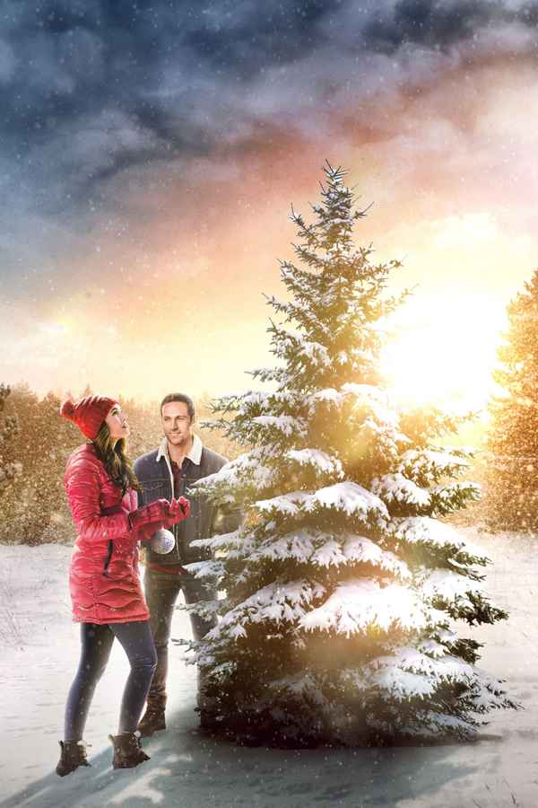 The Christmas Promise Poster 7