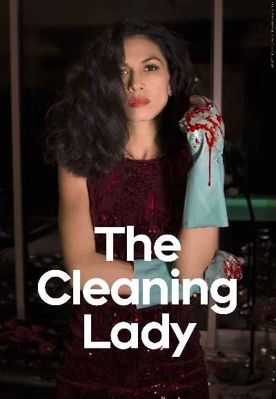 The Cleaning Lady