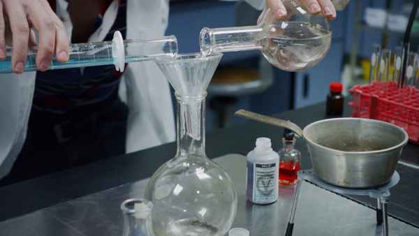 The Coed and the Zombie Stoner Poster 3