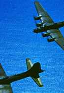 The Cold Blue Poster 6