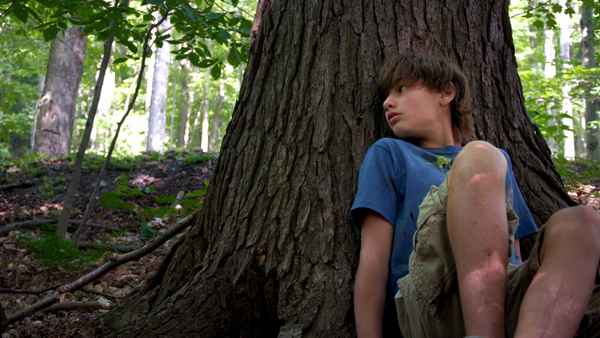 The Cold Lands Poster 2