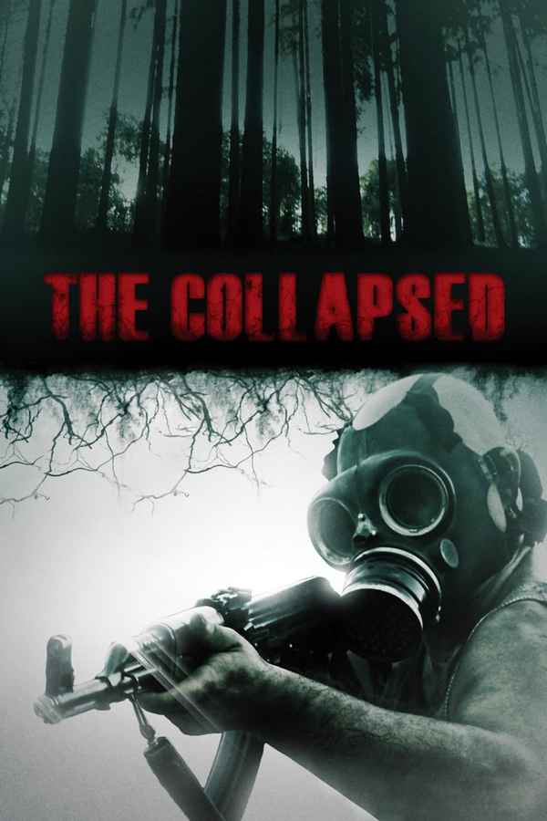 The Collapsed Poster 3