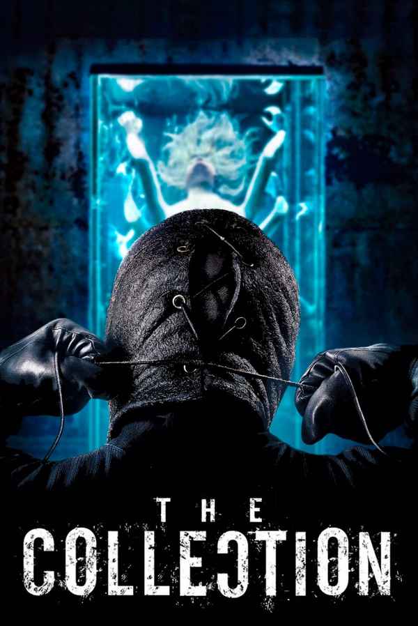 The Collection Poster 7
