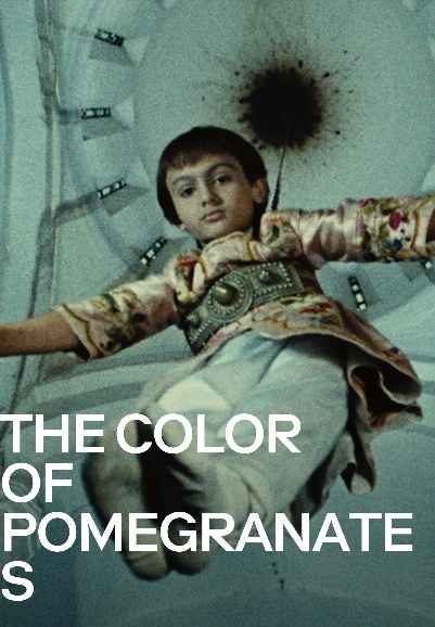 The Color of Pomegranates