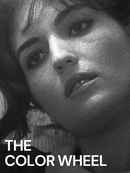 The Color Wheel Poster 1