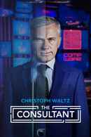 The Consultant Poster 7