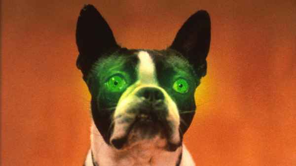 The Convent Poster 1