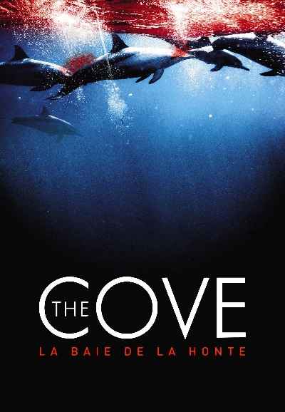 The Cove