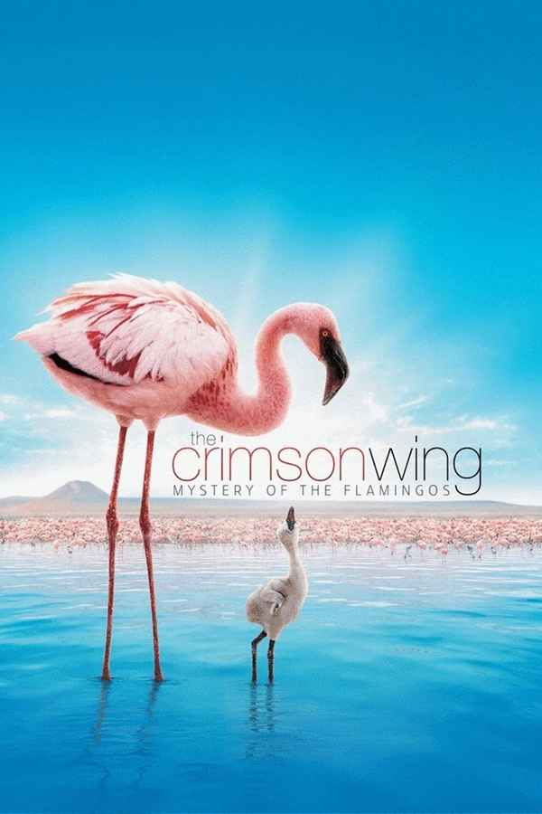 The Crimson Wing: Mystery of the Flamingos Poster 6
