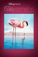 The Crimson Wing: Mystery of the Flamingos Poster 1