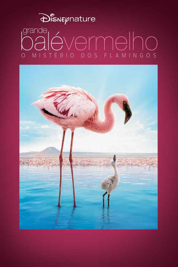 The Crimson Wing: Mystery of the Flamingos Poster 1