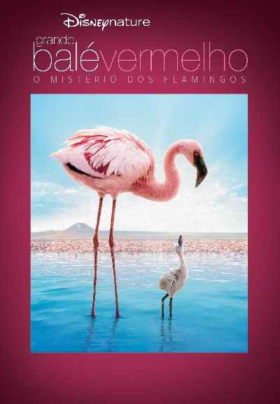 The Crimson Wing: Mystery of the Flamingos