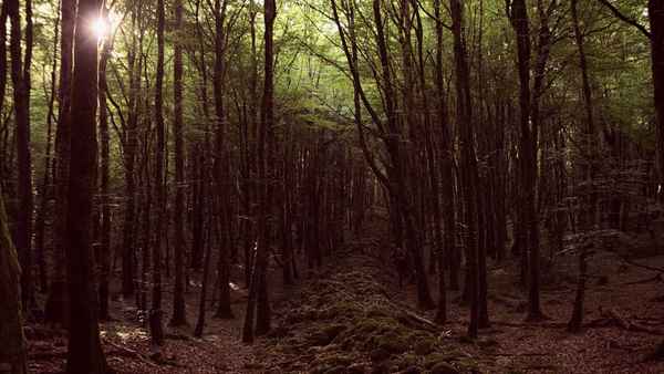 The Crown and the Dragon Poster 2