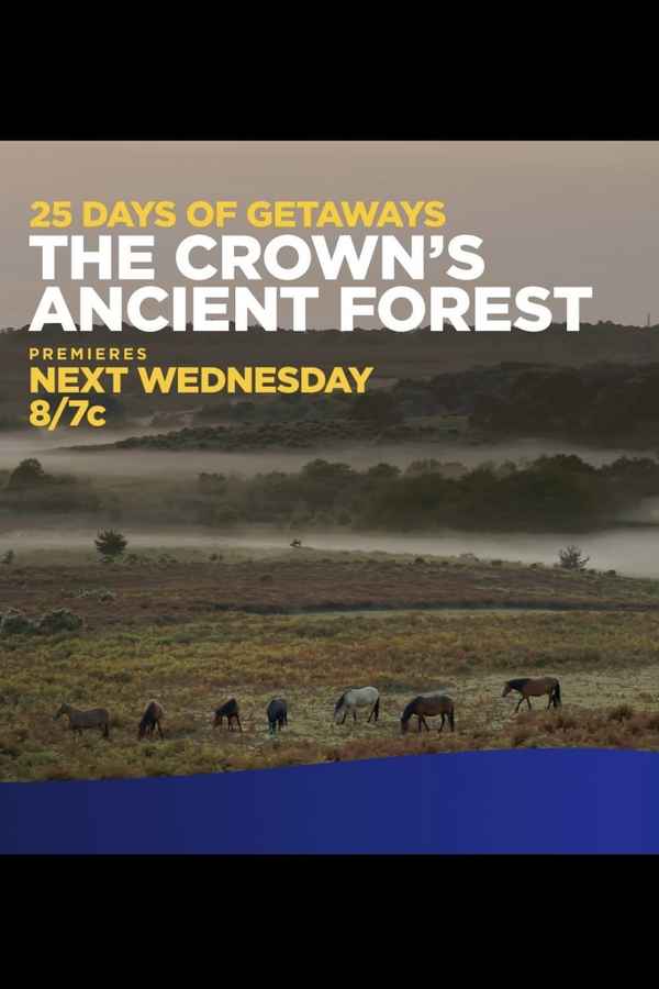The Crown's Ancient Forest Poster 2