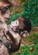 The Cute Ones Poster 4