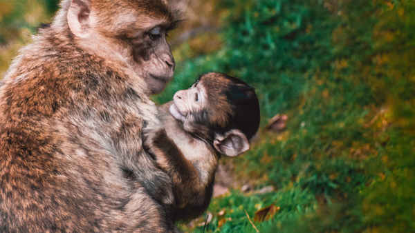 The Cute Ones Poster 3