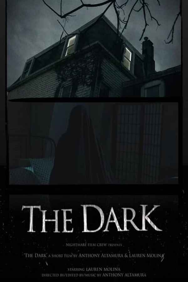 The Dark Poster 5