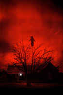 The Dark and the Wicked Poster 4