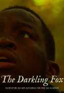 The Darkling Fox Poster 4