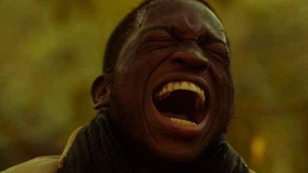 The Darkling Fox Poster 1