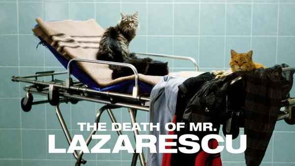 The Death of Mr. Lazarescu Poster 7
