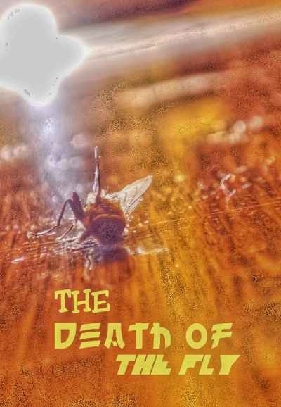 The Death of the Fly