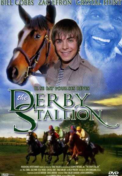 The Derby Stallion