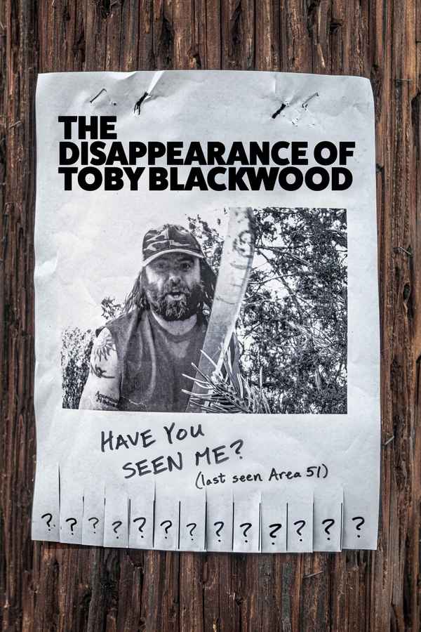 The Disappearance of Toby Blackwood Poster 3