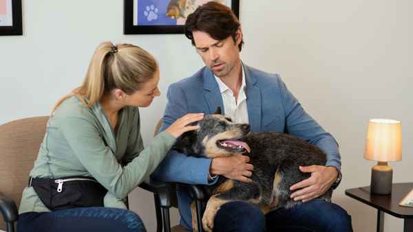 The Dog Lover's Guide to Dating Poster 5