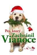 The Dog Who Saved Christmas Poster 3