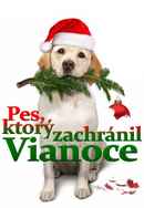 The Dog Who Saved Christmas Poster 7