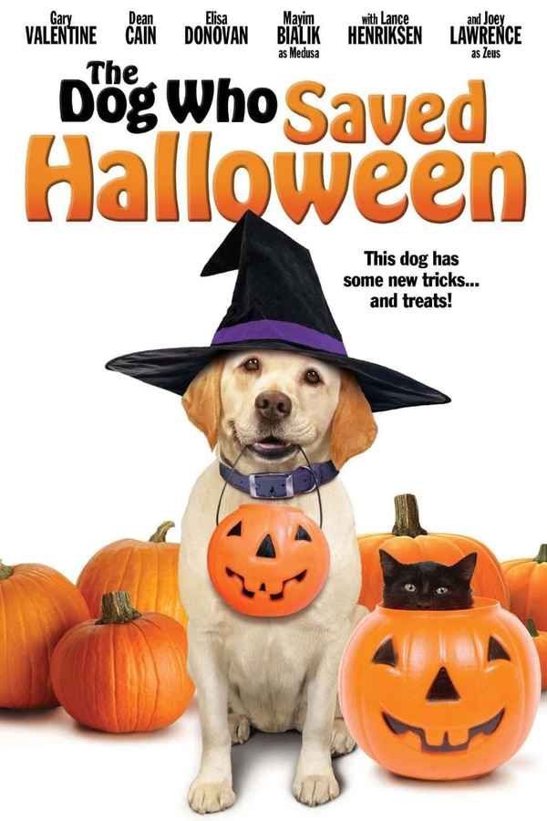 The Dog Who Saved Halloween Poster 5