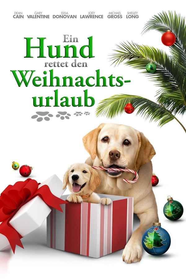 The Dog Who Saved the Holidays Poster 6