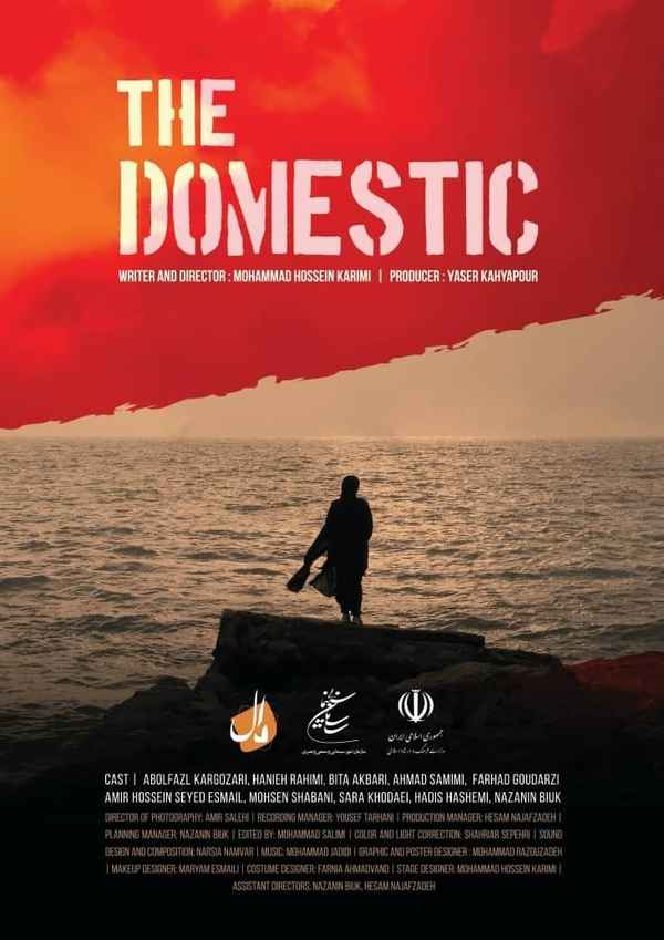 The Domestic Poster 5