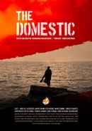 The Domestic Poster 2