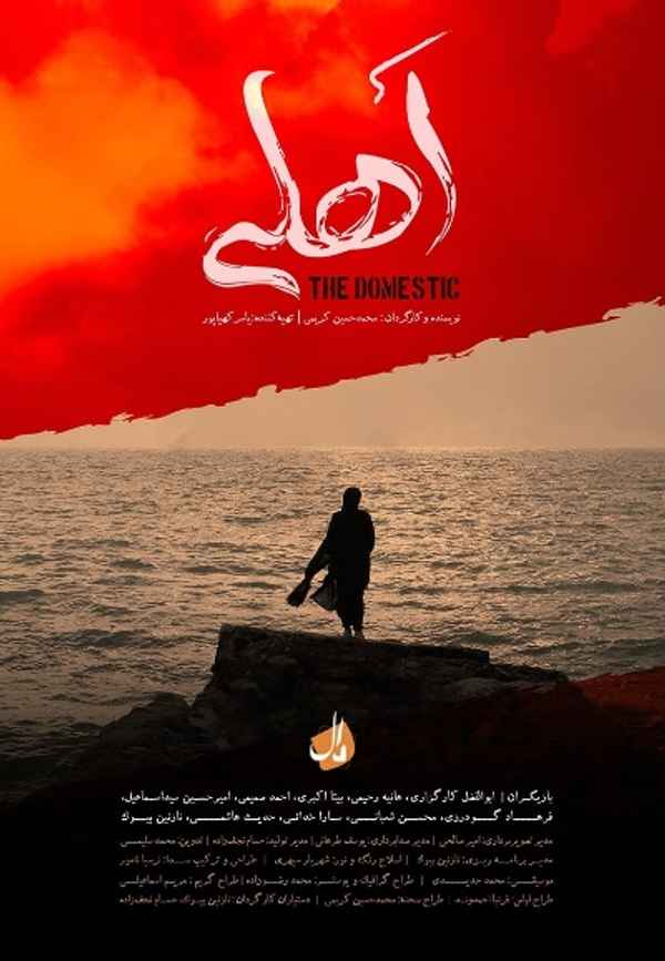 The Domestic Poster 6