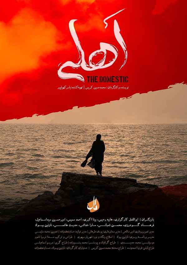 The Domestic Poster 4