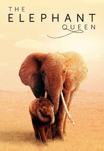 The Elephant Queen