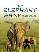 The Elephant Whisperer Poster 1