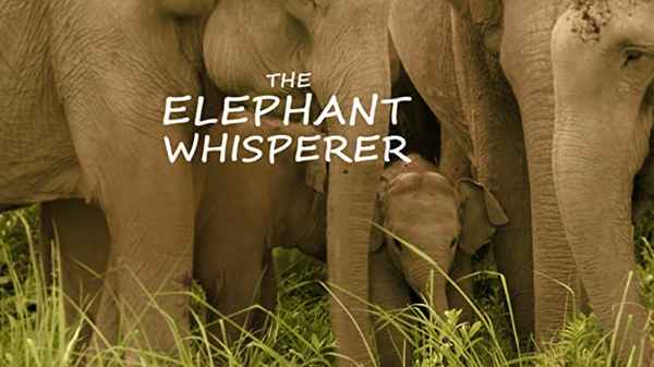 The Elephant Whisperer Poster 3
