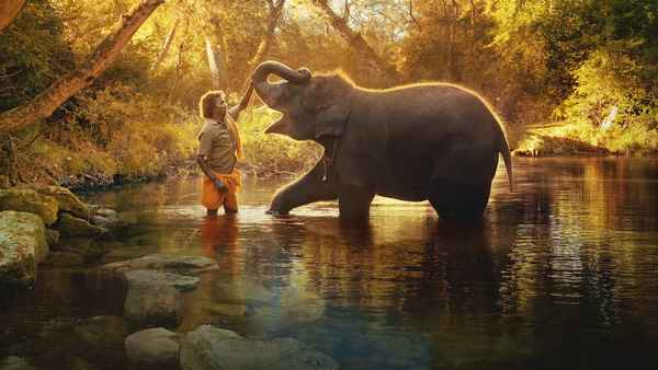 The Elephant Whisperers Poster 4
