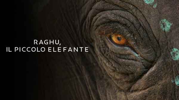 The Elephant Whisperers Poster 2